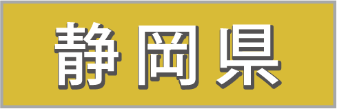 駿河屋賀兵衛 静岡県物産店