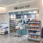 宮城ふるさとプラザ